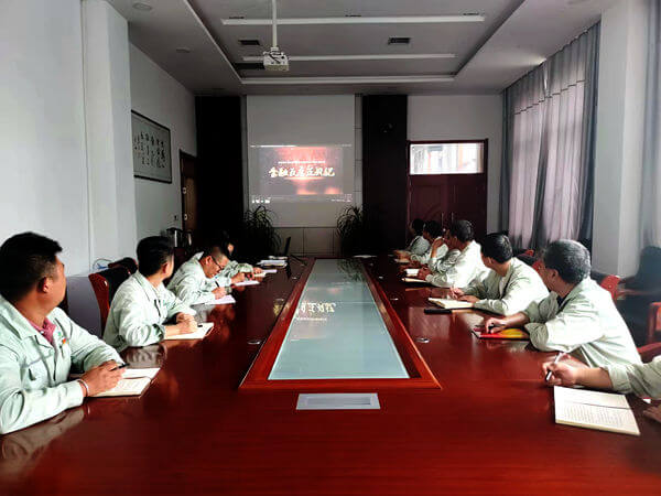 華浩軒公司黨總支召開紀律教育專題組織生活會