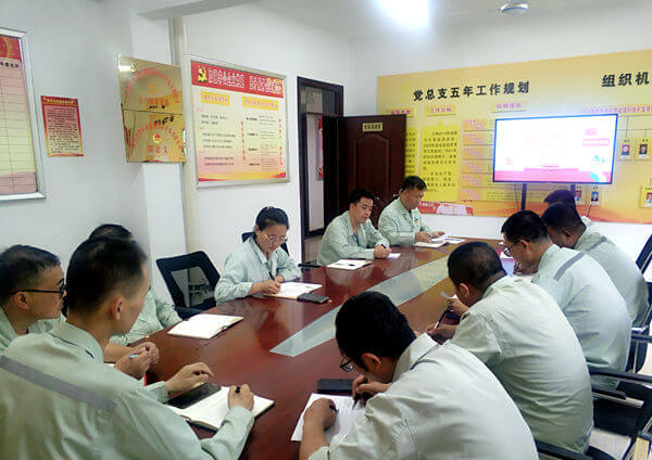 華浩軒公司生產(chǎn)技術(shù)黨支部扎實開展紀律教育月活動