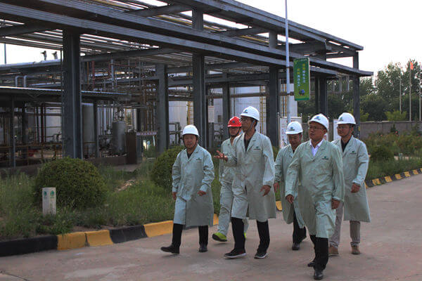 集團公司副總經(jīng)理胡剛一行到華浩軒公司檢查指導(dǎo)工作