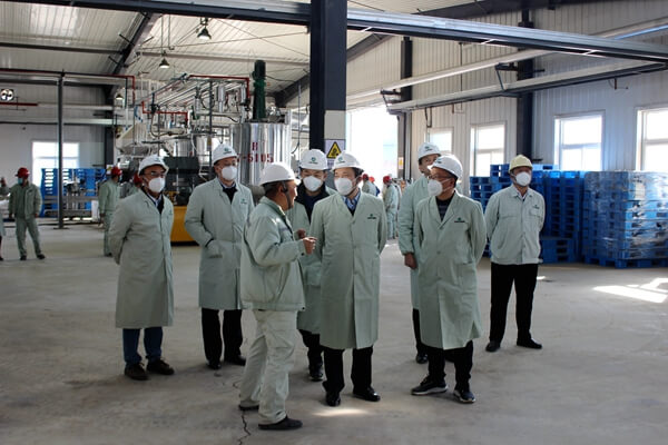 集團公司總經(jīng)理朱華平、副總經(jīng)理侯峰到華浩軒公司檢查一期裝...