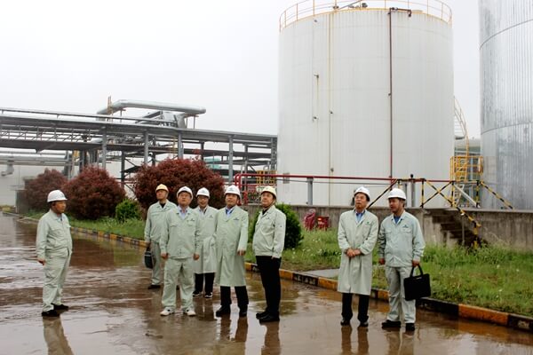 集團公司總經理朱華平到華浩軒公司調研工作