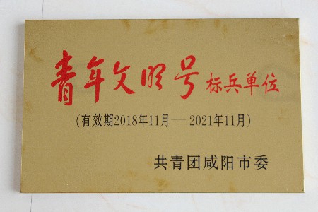 華浩軒公司榮獲2018年度咸陽(yáng)市“青年文明號(hào)標(biāo)兵單位”榮譽(yù)稱(chēng)...