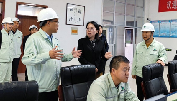 楊孟珠深入重點(diǎn)企業(yè)調(diào)研工業(yè)穩(wěn)增長和安全生產(chǎn)工作